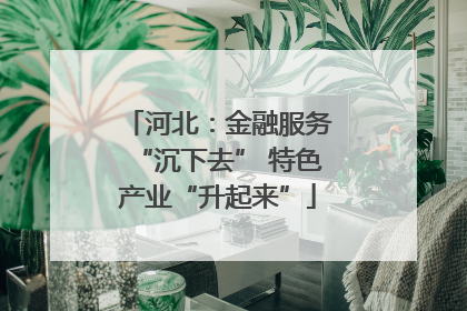 河北:金融服务“沉下去” 特色产业“升起来”
