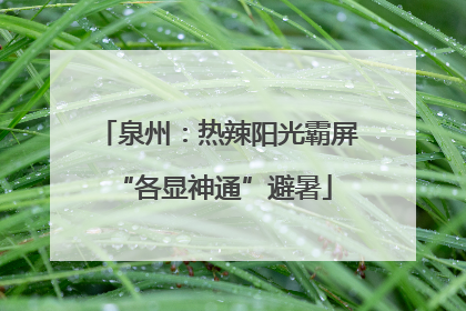 泉州：热辣阳光霸屏 “各显神通”避暑