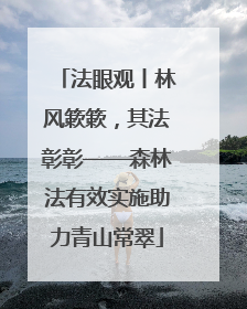 法眼观丨林风簌簌，其法彰彰——森林法有效实施助力青山常翠
