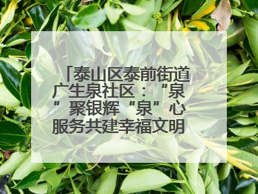 泰山区泰前街道广生泉社区：“泉”聚银辉“泉”心服务共建幸福文明和谐家园