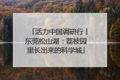 活力中国调研行丨东莞松山湖：荔枝园里长出来的科学城
