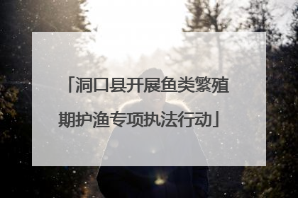 洞口县开展鱼类繁殖期护渔专项执法行动