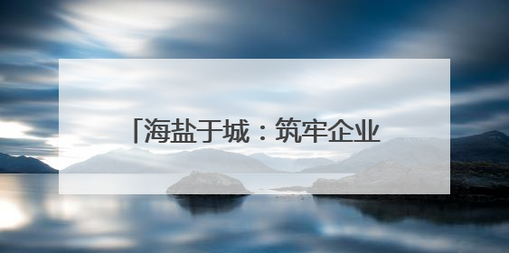海盐于城：筑牢企业消防安全“防火墙”