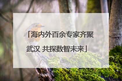 海内外百余专家齐聚武汉 共探数智未来