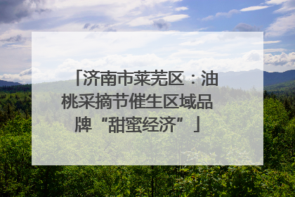 济南市莱芜区：油桃采摘节催生区域品牌“甜蜜经济”