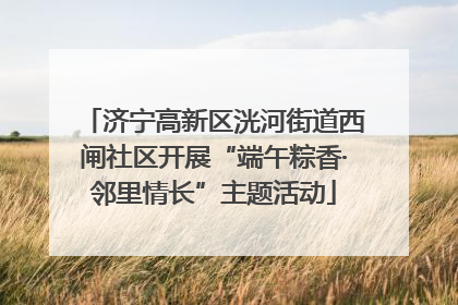 济宁高新区洸河街道西闸社区开展“端午粽香·邻里情长”主题活动