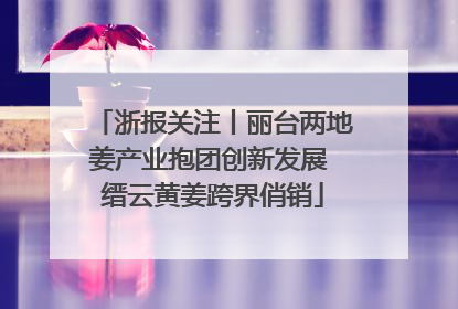 浙报关注丨丽台两地姜产业抱团创新发展 缙云黄姜跨界俏销