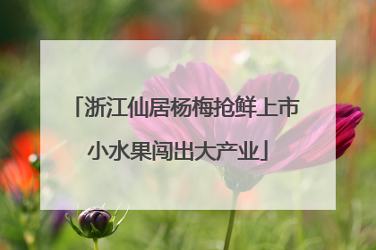 浙江仙居杨梅抢鲜上市 小水果闯出大产业