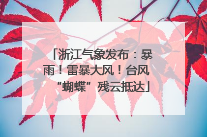 浙江气象发布：暴雨！雷暴大风！台风“蝴蝶”残云抵达