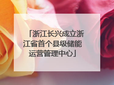 浙江长兴成立浙江省首个县级储能运营管理中心
