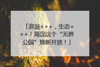 浪漫+++，生态+++！海淀这个“无界公园”焕新开放！