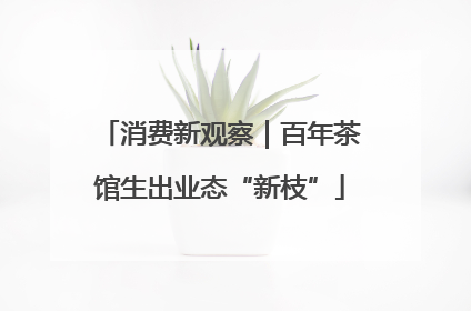 消费新观察｜百年茶馆生出业态“新枝”