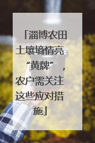 淄博农田土壤墒情亮“黄牌”，农户需关注这些应对措施