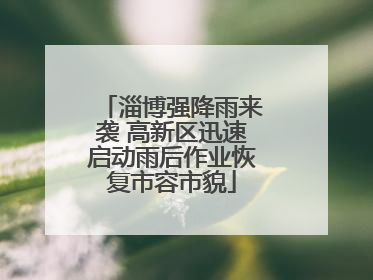 淄博强降雨来袭 高新区迅速启动雨后作业恢复市容市貌
