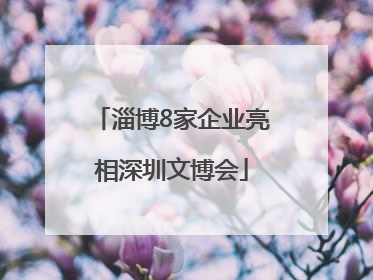 淄博8家企业亮相深圳文博会