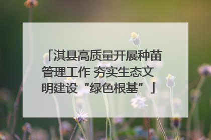 淇县高质量开展种苗管理工作 夯实生态文明建设“绿色根基”
