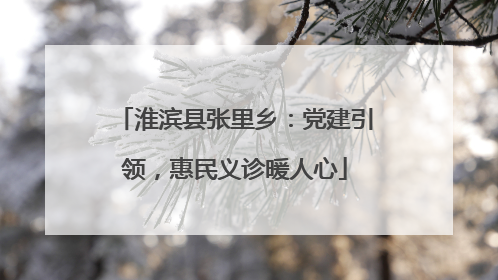 淮滨县张里乡：党建引领，惠民义诊暖人心