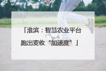 淮滨：智慧农业平台跑出麦收“加速度”