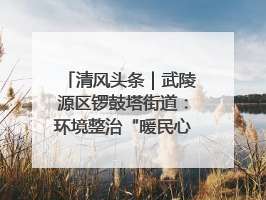 清风头条｜武陵源区锣鼓塔街道：环境整治“暖民心” 辖区面貌“靓”起来