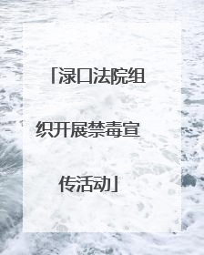 渌口法院组织开展禁毒宣传活动