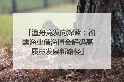 渔舟竞发向深蓝：福建渔业借渔博会解码高质量发展新路径