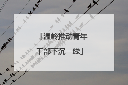 温岭推动青年干部下沉一线