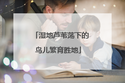 湿地芦苇荡下的鸟儿繁育胜地