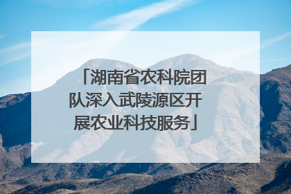 湖南省农科院团队深入武陵源区开展农业科技服务