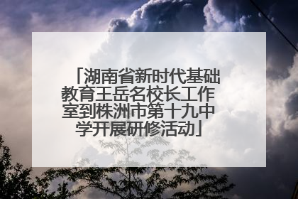 湖南省新时代基础教育王岳名校长工作室到株洲市第十九中学开展研修活动