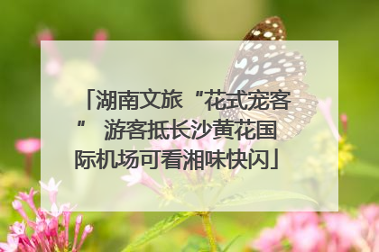 湖南文旅“花式宠客” 游客抵长沙黄花国际机场可看湘味快闪