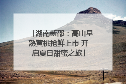 湖南新邵：高山早熟黄桃抢鲜上市 开启夏日甜蜜之旅