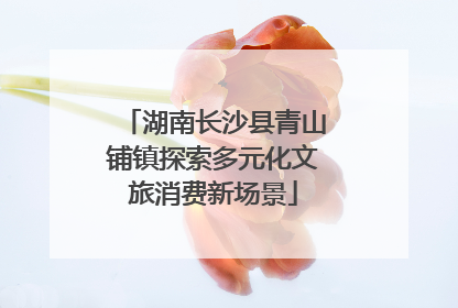湖南长沙县青山铺镇探索多元化文旅消费新场景