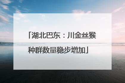 湖北巴东：川金丝猴种群数量稳步增加