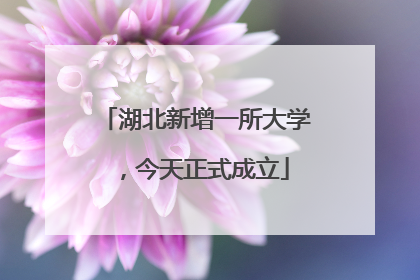 湖北新增一所大学，今天正式成立