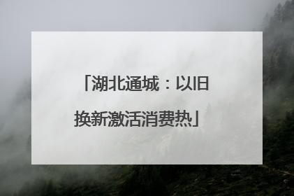 湖北通城：以旧换新激活消费热