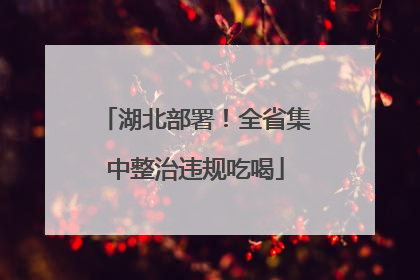 湖北部署！全省集中整治违规吃喝