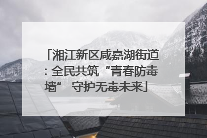 湘江新区咸嘉湖街道：全民共筑“青春防毒墙” 守护无毒未来