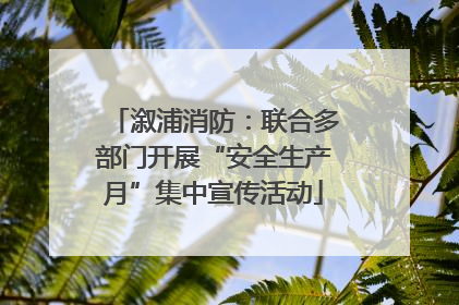 溆浦消防：联合多部门开展“安全生产月”集中宣传活动