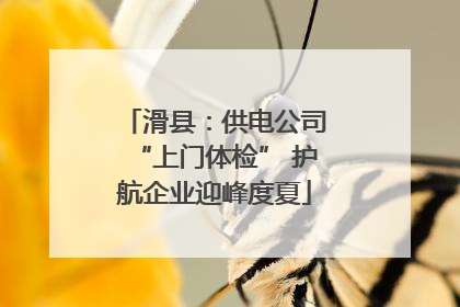 滑县：供电公司“上门体检” 护航企业迎峰度夏