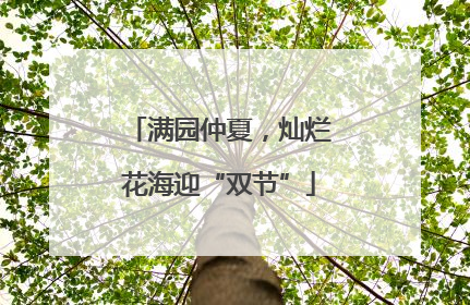 满园仲夏，灿烂花海迎“双节”