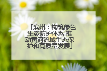 滨州：构筑绿色生态防护体系 推动黄河流域生态保护和高质量发展