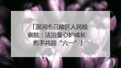 漯河市召陵区人民检察院：法治童心护成长 携手共迎“六一”