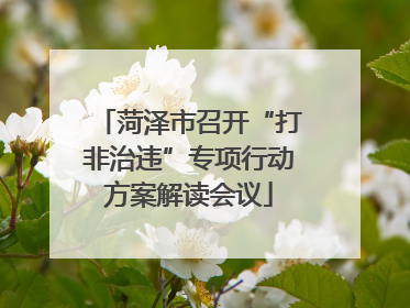 菏泽市召开“打非治违”专项行动方案解读会议