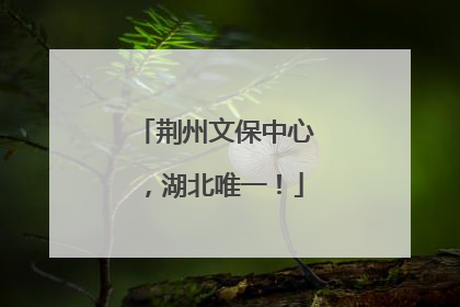 荆州文保中心，湖北唯一！