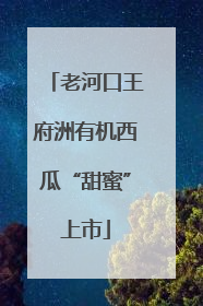 老河口王府洲有机西瓜“甜蜜”上市