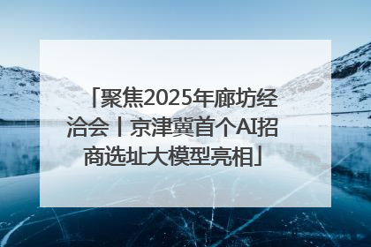 聚焦2025年廊坊经洽会丨京津冀首个AI招商选址大模型亮相