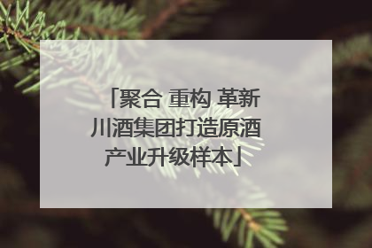 聚合 重构 革新 川酒集团打造原酒产业升级样本