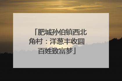 肥城孙伯镇西北角村：洋葱丰收圆百姓致富梦