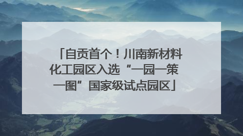 自贡首个！川南新材料化工园区入选“一园一策一图”国家级试点园区