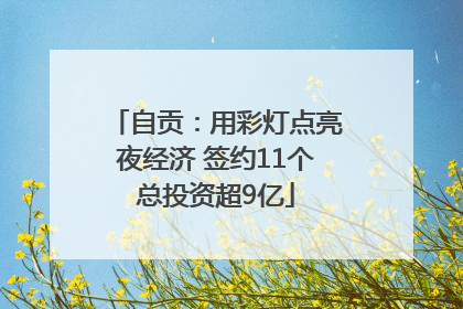 自贡：用彩灯点亮夜经济 签约11个总投资超9亿